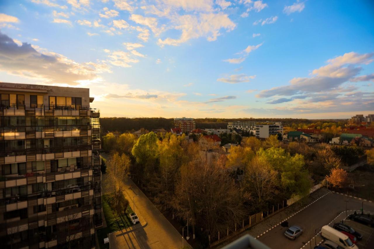 Sweet Escape- 1Br In Pipera Leilighet Voluntari Eksteriør bilde
